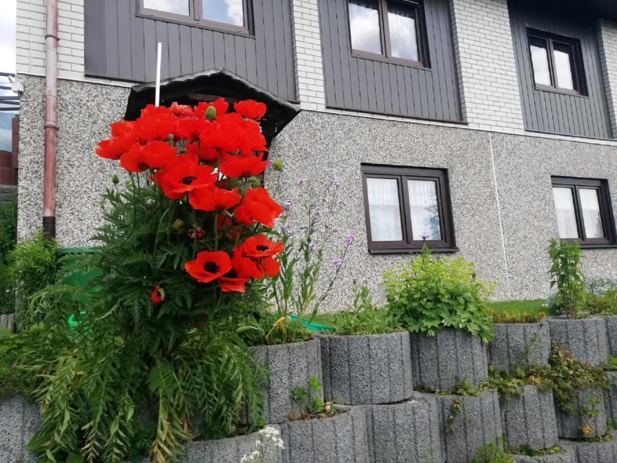 Ferienwohnung Suetovius 奥泊维森塔尔 外观 照片